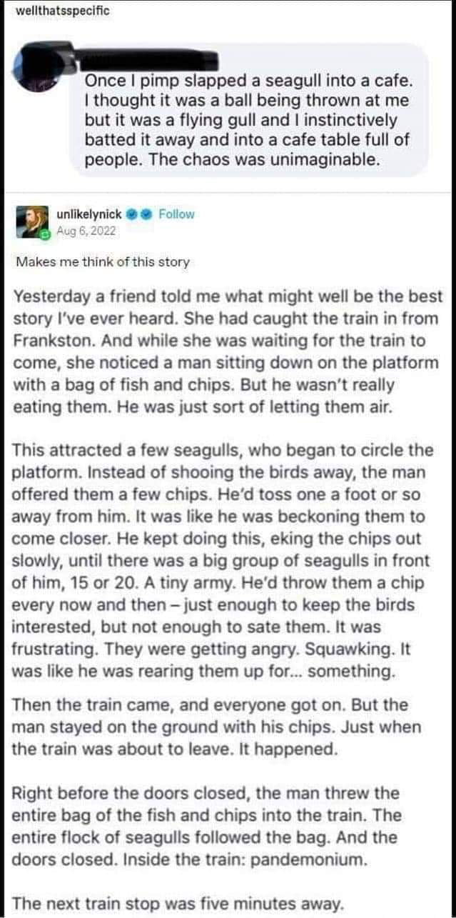 Hopefully amusing to some. Maybe even original content here.