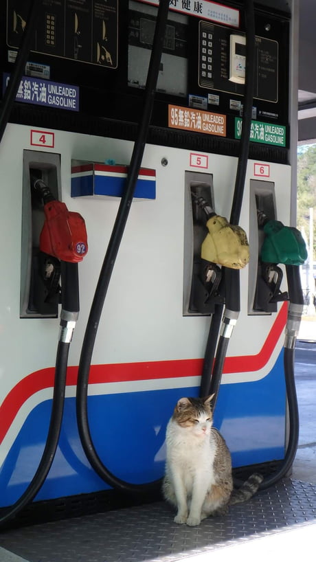 Gas station attendant 9GAG