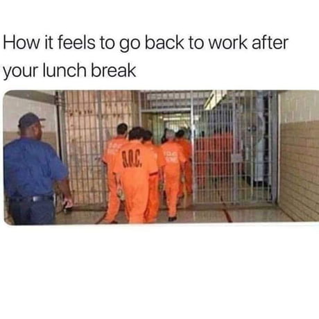 LOLLLLLS