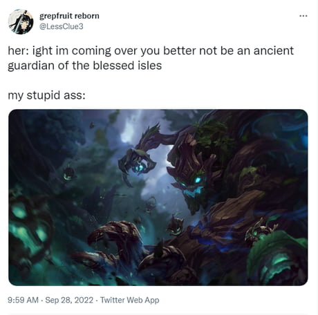 the wise mystical tree is a what?.. : r/memes