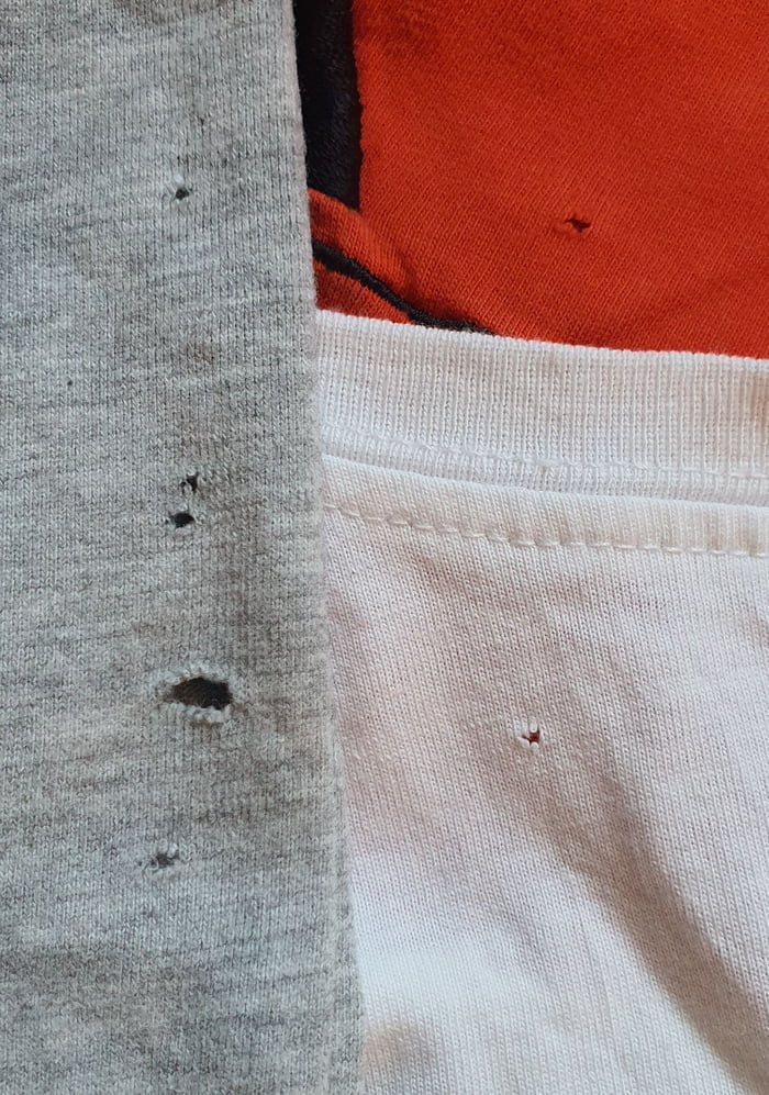 A mystery I've been trying to solve for years Why those tiny holes