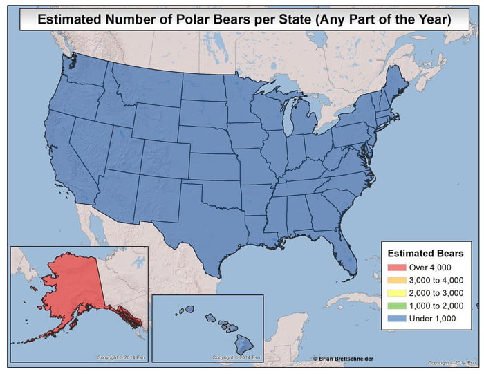 There could be as many as 999 polar bears in Hawaii