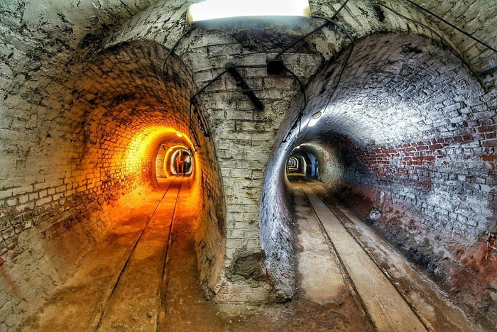 Tunnel/Owl Vision