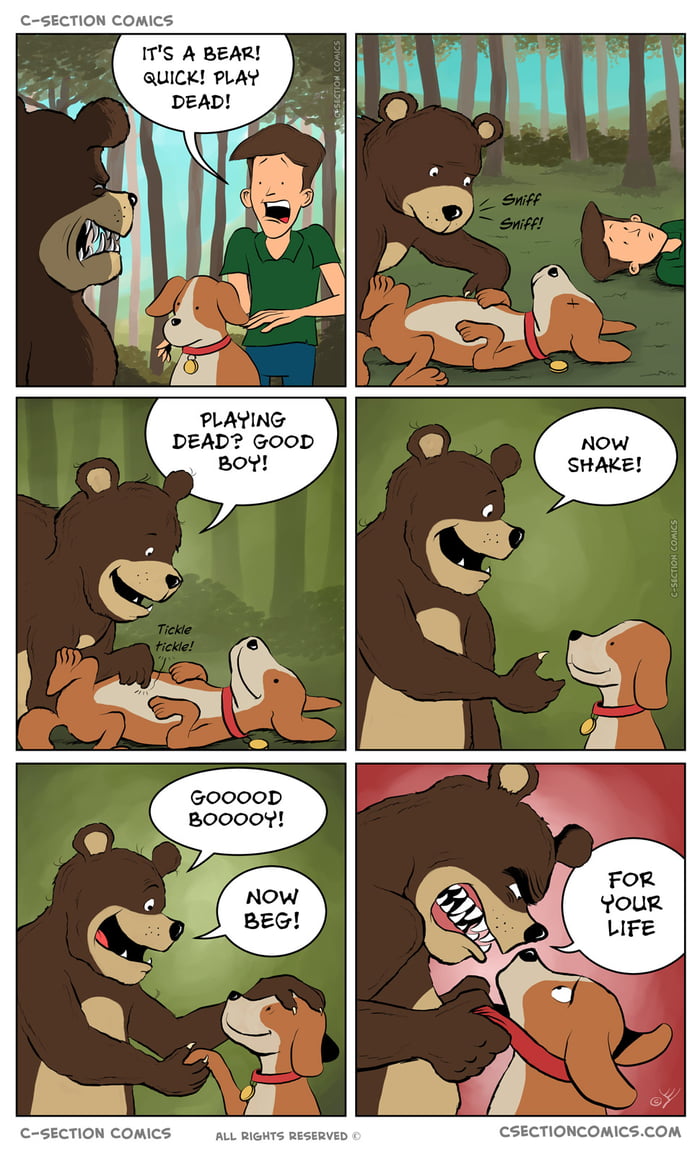 Good dog!