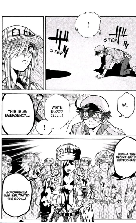 Just found about 'HATARAKU SAIBOU BLACK' , cells working in an unhealthy  body , a male rbc and a female wbc. - 9GAG