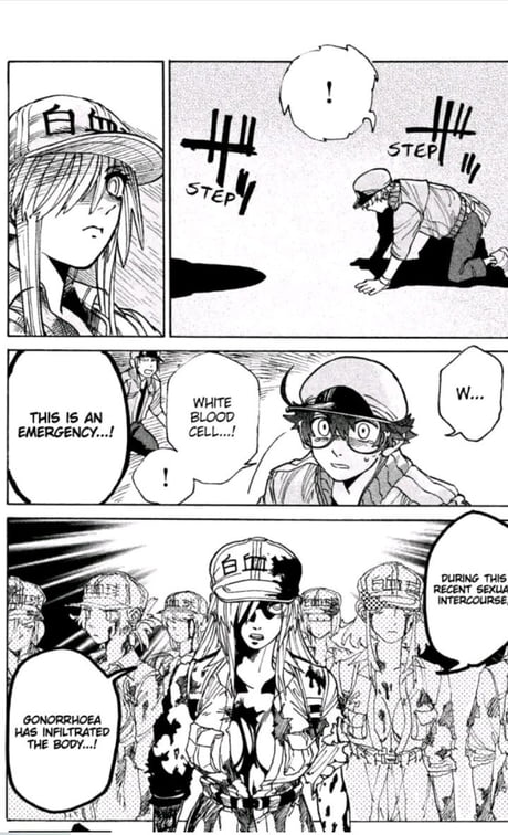 Cells at Work! Cat Manga