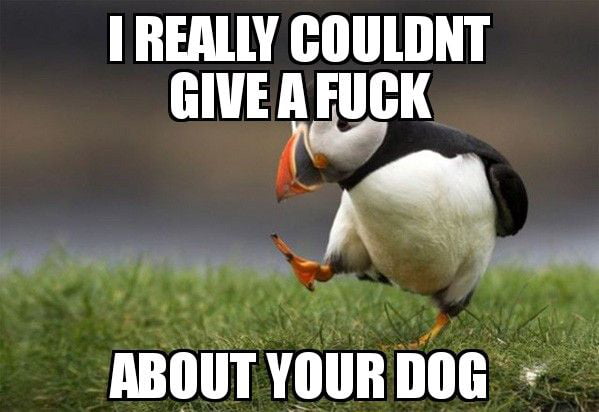 Come on 9gag. Stop posting pictures of your animals.