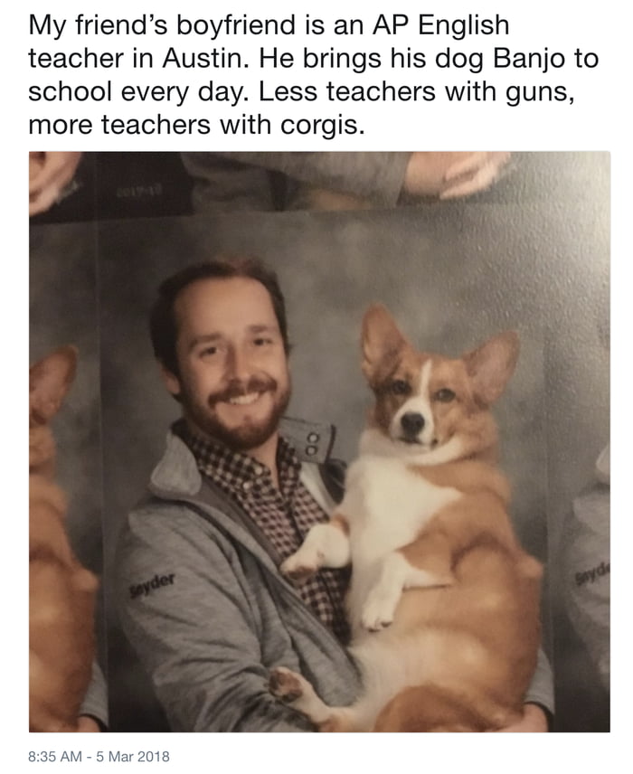 More puppers less gunners