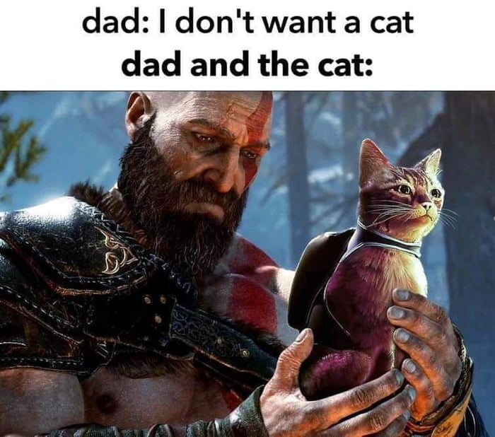 Dad and Cat 9GAG