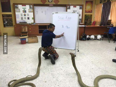 People Prepara Faculdade - 9. COBRINHA OU SNAKE O buscador do