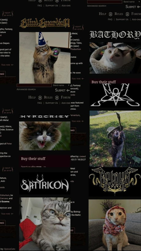 Metal Archives Has Replaced Every Band Photo With A Cat Photo