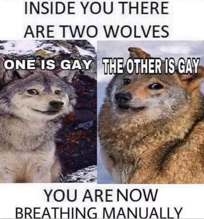 there-are-two-wolves-inside-you-9gag