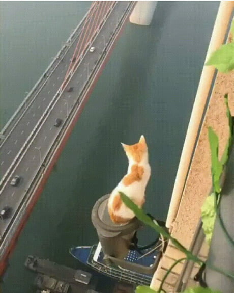 I See No God Up Here Except Me 9gag