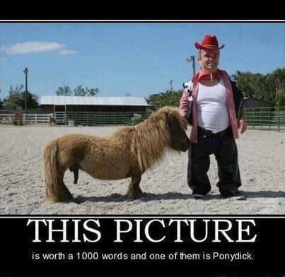 Hung like a pony - 9GAG