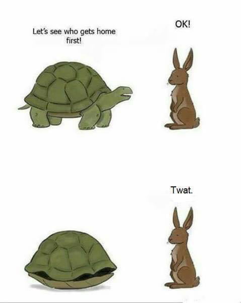 The Tortoise and the Hare Sequel