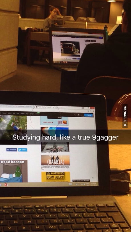 Midterms Midterms