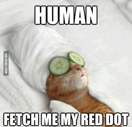 Living The Easy Life 9gag