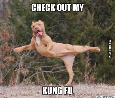 Epic Kung fu Master - 9GAG