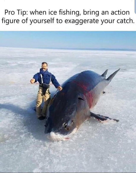 Something&#039;s fishy