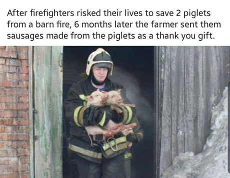 Short Story : Firefighters &amp; The Two Little Piglets