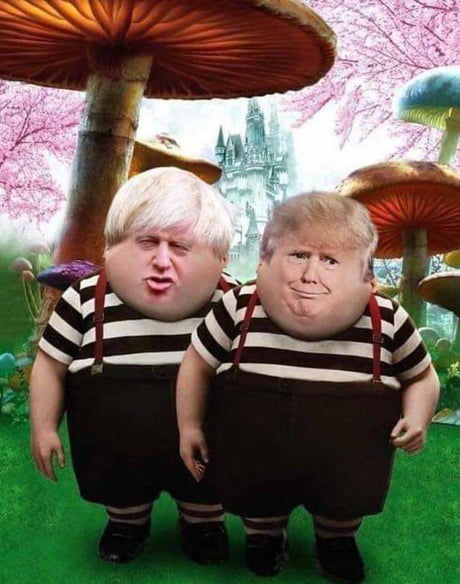 tweedle dum