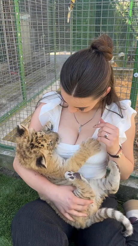 Cute tiger