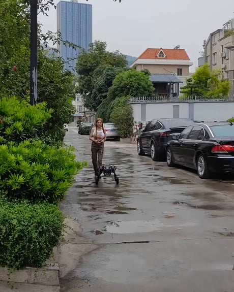 Self Balancing Robot