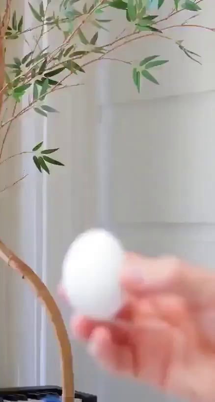 Easter Egg