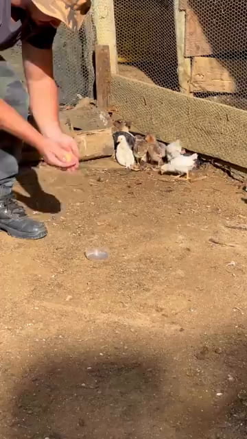 Turning trash into treasure for these little fluffballs