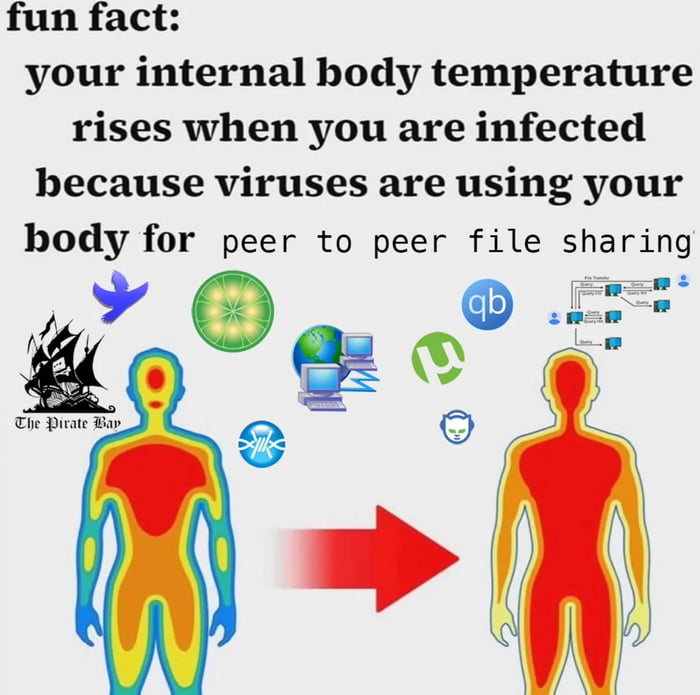 The More You Know...