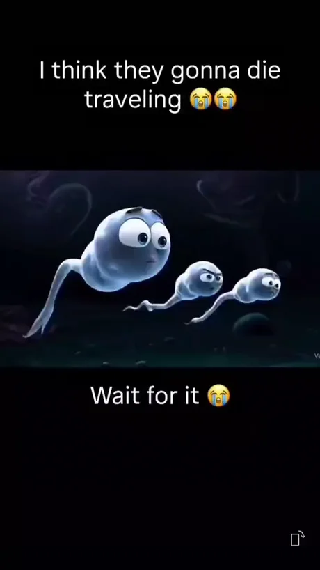 Memes Of Sperm memes-of-sperm