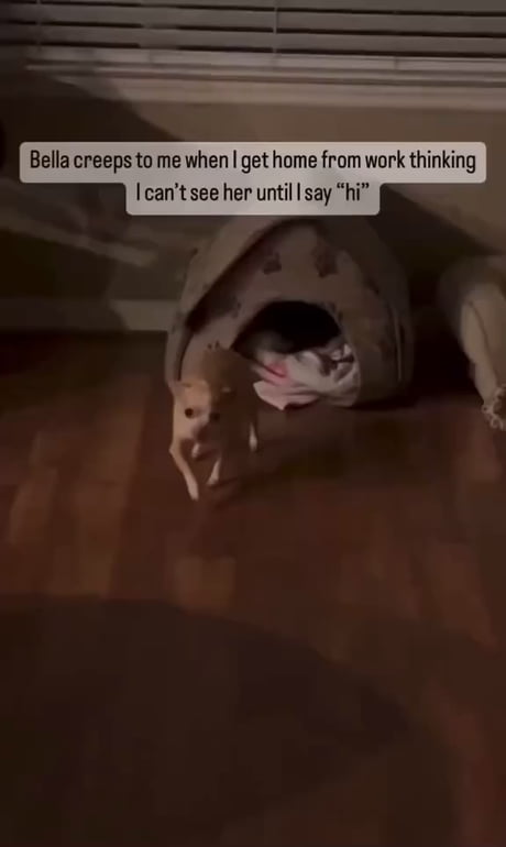 She came out of nowhere.....