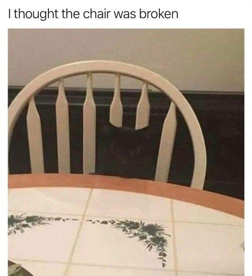 Black is black