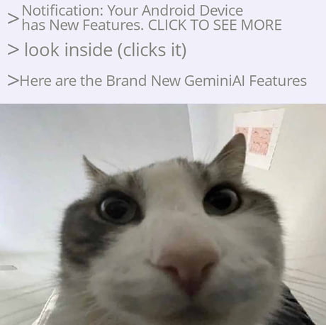 Android Haters Memes I Have Three Of Them Hit Share Beautiful