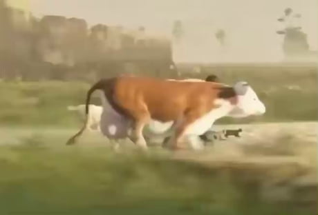 Holy crap, I never thought that camels could run that fast