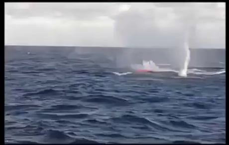 Mini gun: Let me do it you useless f**ks