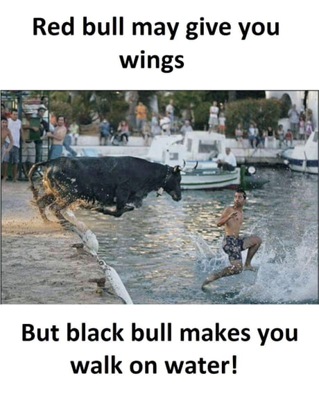 Red Bull May Give You Wings But Black Bull Will Make You Walk On Water 9gag