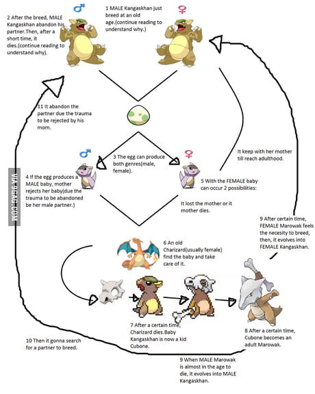 marowak evolution chart