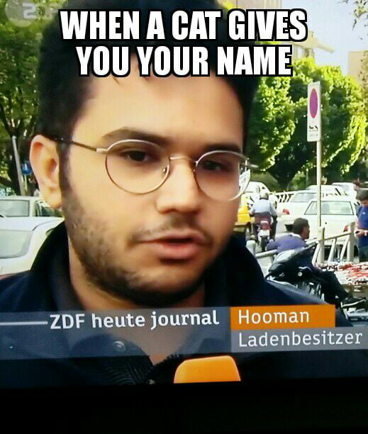 a6o2dzN_700b.jpg