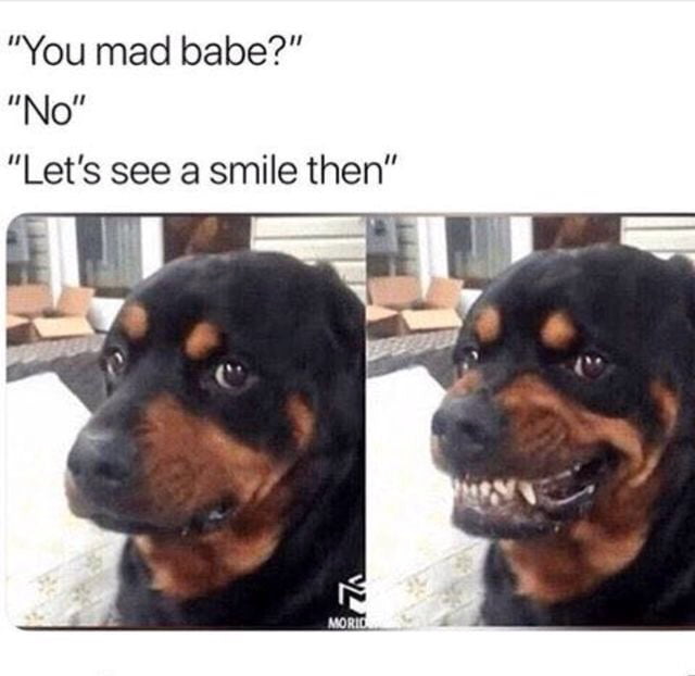 I said I'm fine!