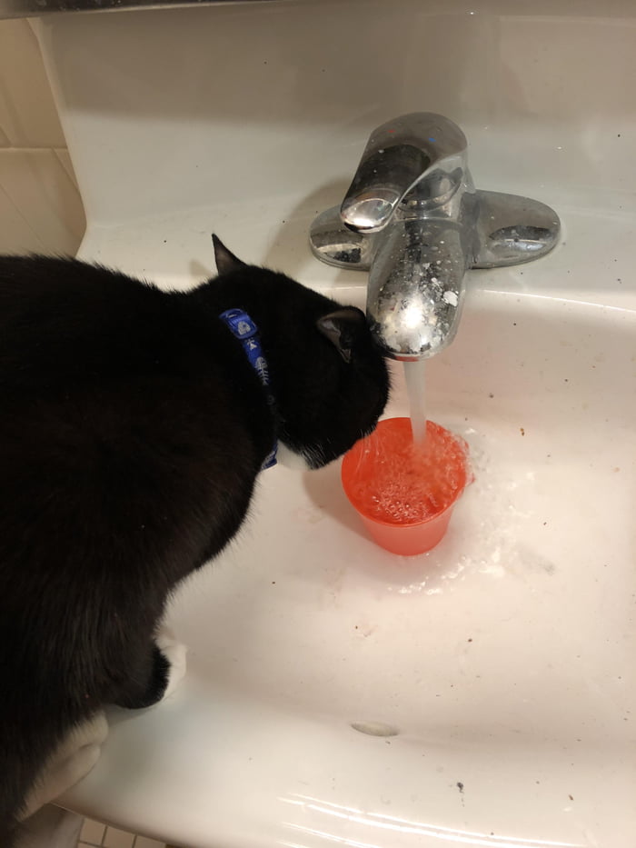 Not exactly a jerk, but he refuses to drink any other way