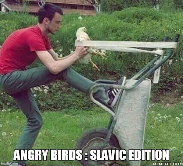 . Angry Birds : Slavic edition