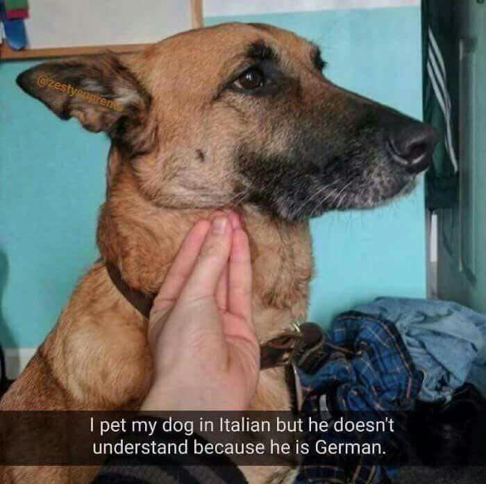 He just doesn't unxerstand