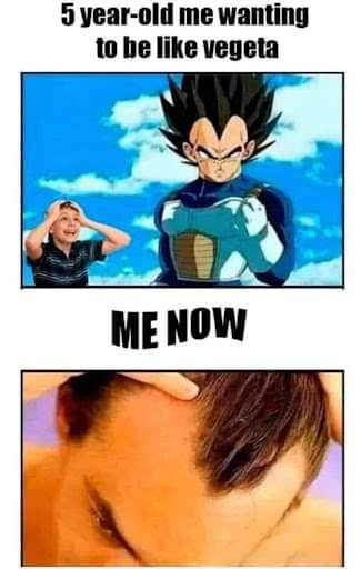 Best Funny Vegeta Memes - 9GAG