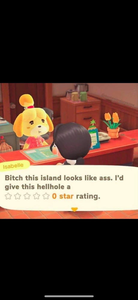 animal crossing new leaf memes animal crossing new leaf memes
