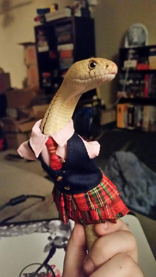 Feeling cute, might delete later
