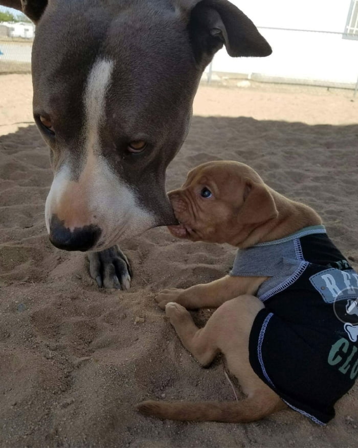 I've got you now!