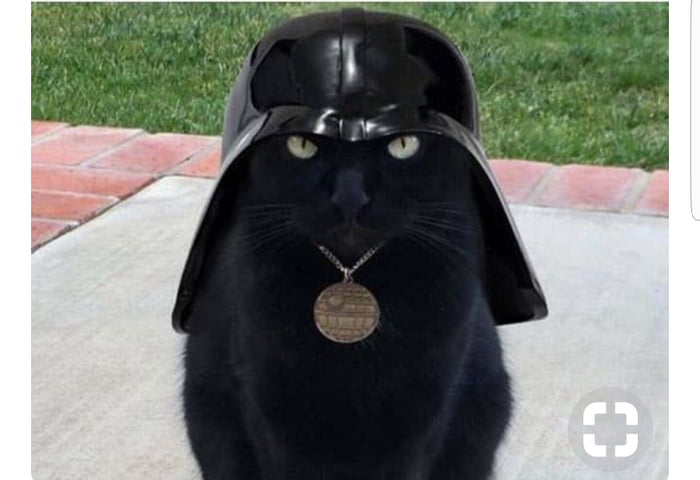Join the dark side -Darth Meow