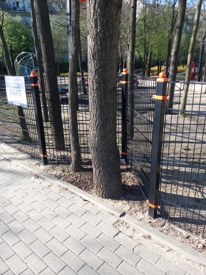 The architect of this playground respects trees