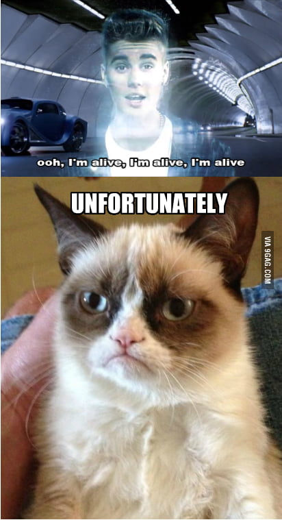 grumpy cat meme justin bieber